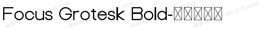 Focus Grotesk Bold字体转换